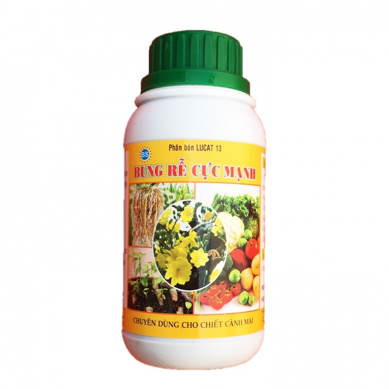 PHÂN BÓN KÍCH THÍCH RA RỄ CỰC MẠNH DÙNG CHO HOA KIỂNG, MAI VÀNG, CÂY CHIẾT CÀNH, GIÂM CÀNH, PHỤC HỒI CÂY SAU QUÁ TRÌNH DI CHUYỂN, BUNG RỄ CỰC MẠNH, VỌT ĐỌT PHÂN BÓN KÍCH THÍCH RA RỄ CỰC MẠNH DÙNG CHO HOA KIỂNG, MAI VÀNG, CÂY CHIẾT CÀNH, GIÂM CÀNH, PHỤC HỒI CÂY SAU QUÁ TRÌNH DI CHUYỂN, BUNG RỄ CỰC MẠNH, VỌT ĐỌT